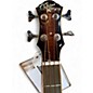 Used Michael Kelly FIREFLY 4 SUNBURST 2 Color Sunburst Acoustic Bass Guitar