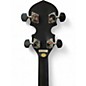 Used Gold Tone AC-1 CARBON Banjo