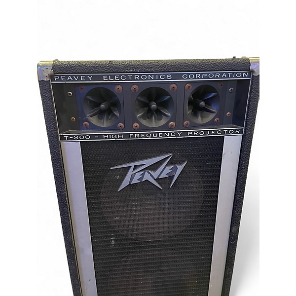 Used Peavey T300 Unpowered Speaker
