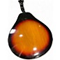 Vintage 1970s Harmony M-100 Mandolin 2 Color Sunburst Mandolin