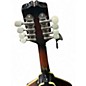 Used Kentucky KM160S SUNBURST Mandolin