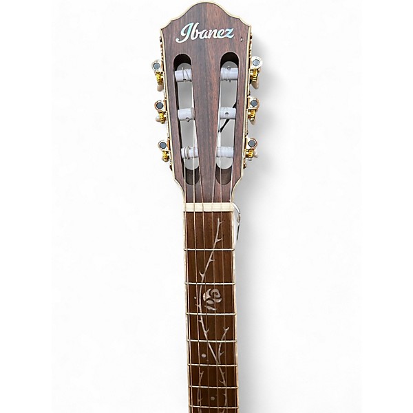 Used 2025 Ibanez TOD10N BLACK Classical Acoustic Electric Guitar