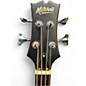 Used Mitchell T239BCE Mahogany Acoustic Bass Guitar