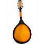 Used Mitchell AM100VS 2 Color Sunburst Mandolin
