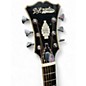 Used D'Angelico DAEG200SLBNP SILVER BURST Acoustic Electric Guitar