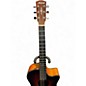 Used Alvarez AG660CE2 SHADOWBURST Acoustic Electric Guitar