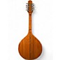 Used Gold Tone Irish Mandola Natural Mandolin