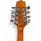Used Gold Tone Irish Mandola Natural Mandolin