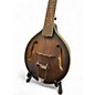 Used Gold Tone A-6 A style Mando-Guitar Tobacco Sunburst Mandolin