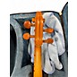 Used Strumenti A CORDE 3000 Acoustic Violin