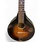 Used 1930s Kalamazoo KM11 SUNBURST Mandolin