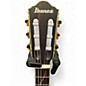 Used Ibanez TOD10N-TKF Black Classical Acoustic Electric Guitar