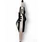 Used Roland AE-20 AEROPHONE Electric Wind Instrument thumbnail