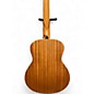 Used Taylor Americana Bald Eagle design Acoustic Guitar