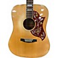 Used Ibanez Concord Natural Acoustic Guitar
