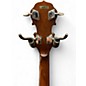 Used Bama BANJO Natural Banjo