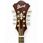 Used Ibanez M700S-AVS Sunburst Mandolin