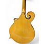 Used Galveston MDL-25-A Natural Mandolin