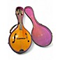Vintage 1950s Gibson A-40 Mandolin Natural Mandolin thumbnail