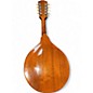 Vintage 1950s Gibson A-40 Mandolin Natural Mandolin