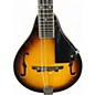 Used Hola HM-SB TWO TONE BURST Mandolin