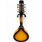 Used Hola HM-SB TWO TONE BURST Mandolin