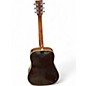 Used Wechter Guitars DREAD ESNRT Natural Acoustic Guitar