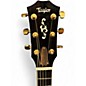 Used Taylor Custom 414ce Sunburst Acoustic Electric Guitar