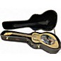 Used Regal RC-2 Duolian GRAY/GREEN Resonator Guitar