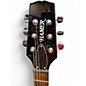Used Hamer special jr Natural Solid Body Electric Guitar