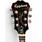 Used Epiphone Les Paul Standard Plus Top Pro Honey Burst Solid Body Electric Guitar