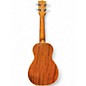 Used Kala KA-SLNG Brown Ukulele