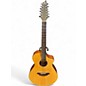 Used Breedlove Passport C250/SME12 Natural 12 String Acoustic Electric Guitar thumbnail