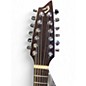 Used Breedlove Passport C250/SME12 Natural 12 String Acoustic Electric Guitar