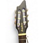 Used Breedlove Pursuit Nylon Natural Classical Acoustic Electric Guitar