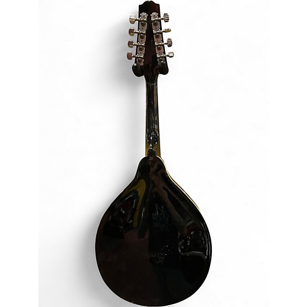 Used Rogue RM101A Black Mandolin