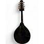 Used Rogue RM101A Black Mandolin