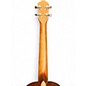 Used Washburn ALOHA Mahogany Ukulele