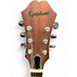 Used Epiphone TOM DELONGE BROWN STRIPE OLIVE Hollow Body Electric Guitar