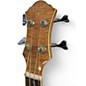 Used Michael Kelly dragonfly 4 Natural Acoustic Bass Guitar