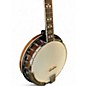 Used Gold Tone OB-250 Orange Blossom Banjo