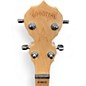 Used Deering Goodtime Natural Banjo
