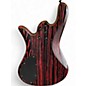 Used Spector NS PULSE II RED STAIN Electric Bass Guitar
