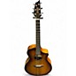 Used Breedlove PURSUIT EX CONCERT TE TIGERS EYE Acoustic Electric Guitar