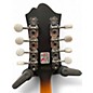 Used Epiphone MM40L 2 Color Sunburst Mandolin
