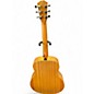 Used Taylor GS Mini Mahogany Mahogany Acoustic Guitar