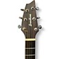 Used Breedlove Discovery Concert CE Mahogany Acoustic Electric Guitar