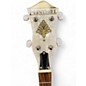 Used Flinthill FHB55 Natural Banjo