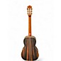 Used Bromo BAR6E Parlor Cedar Acoustic Electric Guitar