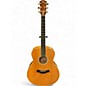 Used Taylor Big Maple Leaf Natural Acoustic Guitar thumbnail